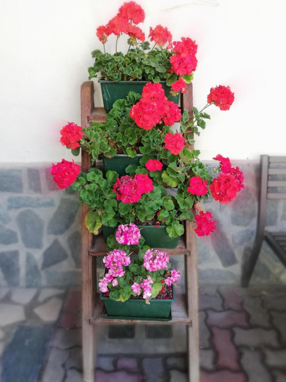 Garni Delia Hotel Ливиньо Екстериор снимка